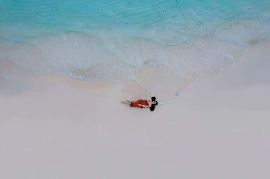Lunch Break, Mnemba Tour, Swim with Turtles, Kendwa Beach - What the private guide and driver add