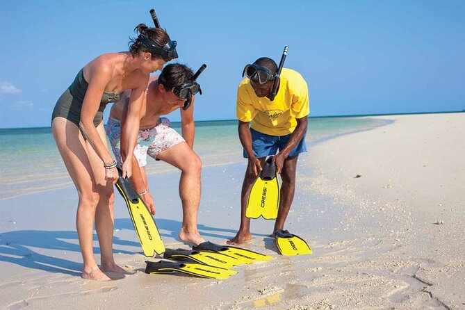 Luxury Swimming with DOLPHINS IN MNEMBA and LUNCH - A compact ocean morning near Mnemba Island