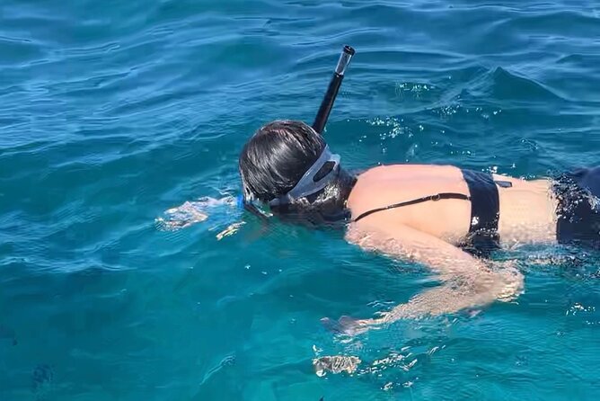 Luxury Swimming with DOLPHINS IN MNEMBA and LUNCH - Dolphin searching, with realistic expectations