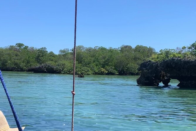 Luxury Swimming with DOLPHINS IN MNEMBA and LUNCH - Lunch on the beach, and the important menu question