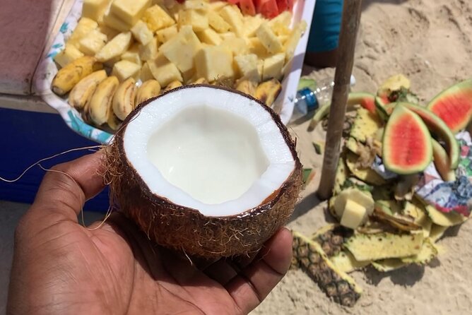 Luxury Swimming with DOLPHINS IN MNEMBA and LUNCH - What $130 buys you