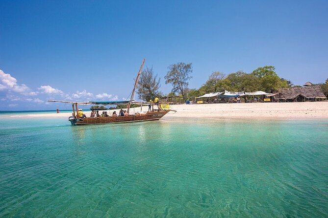 Luxury Swimming with DOLPHINS IN MNEMBA and LUNCH - Leaving early from Zanzibar City