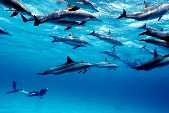 Luxury Tour to DOLPHINS, KUZA CAVE and THE ROCK RESTAURANT - The Rock Restaurant for photographs and a possible meal