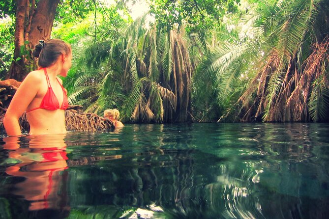 Maasai village visit and chemka hot-springs with hot lunch - Mount Kilimanjaro views