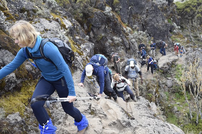 Machame Route 6 days 5 Nights/Kilimanjaro Climb - Day two: Leaving the trees for Shira