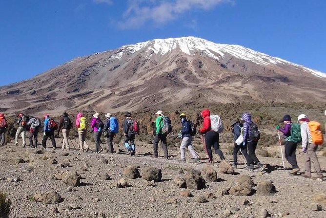 Machame Route 6 days 5 Nights/Kilimanjaro Climb - Day six: Mweka descent and the return to Moshi