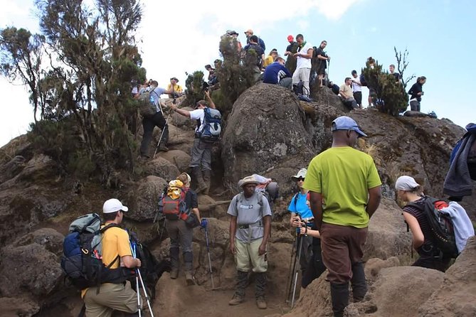 Machame Route 6 days 5 Nights/Kilimanjaro Climb - Camping, meals, and the support crew