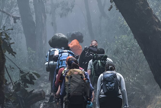 Machame Route 7-Day Private Kilimanjaro Trek - Day two: moorland and the Shira Plateau