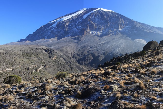 Machame Route 7 Days 6 Nights /Kilimanjaro Climb - Day 3: Shira Camp, Lava Tower, and Barranco Camp