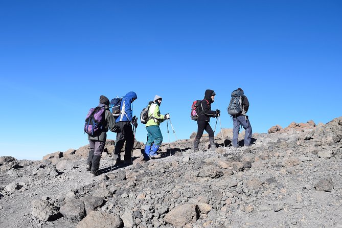 Machame Route 7 Days 6 Nights /Kilimanjaro Climb - Day 7: Mweka Camp to Mweka Gate