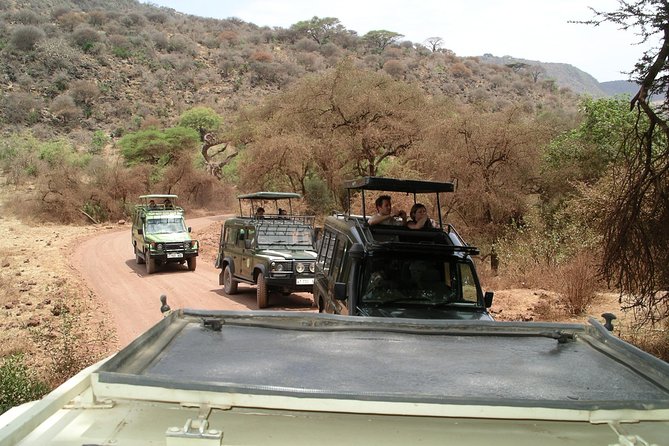 Manyara and Ngorongoro Crater - Day one: the long approach to Ngorongoro Crater