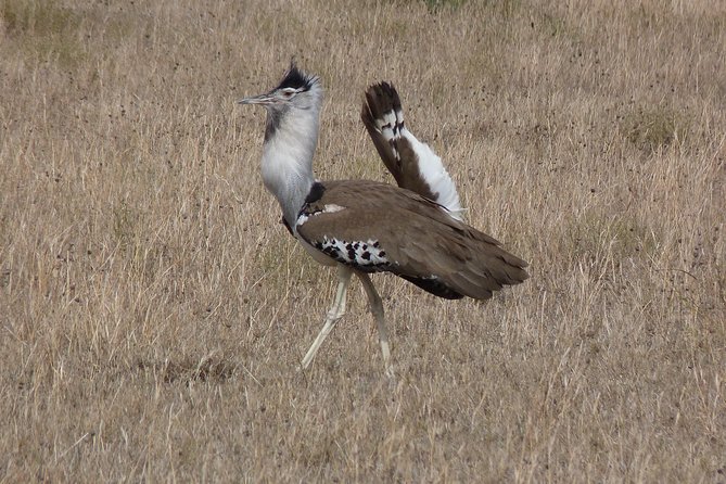Manyara and Ngorongoro Crater - What the $870 price really covers