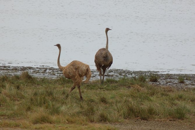 Manyara and Ngorongoro Crater - The group size and guide make a real difference