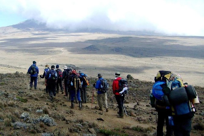 Marangu Route 6 Days 5 Nights/Kilimanjaro Climb - Day One: Moshi to Mandara Hut Through the Forest