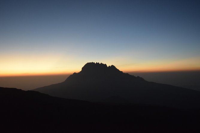 Marangu Route 6 Days 5 Nights/Kilimanjaro Climb - Day Six: Back Through the Forest to Moshi