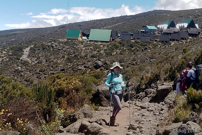 Marangu Route - Day 2: Leaving the forest behind