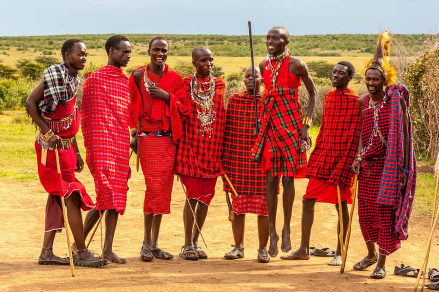Massai village & Baraka turtules aquarium - From your hotel to Kidoti in 30 minutes