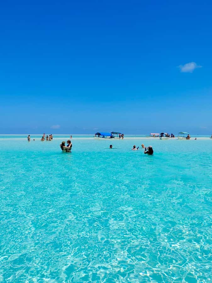 Matemwe: Mnemba Island Dolphin & Snorkeling Boat Trip - From road transfer to open water