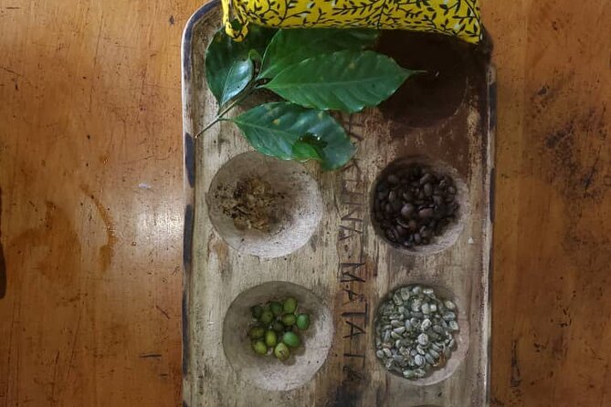 Materuni (Coffee Tour) and Chemka (Kikuletwa Tour) - Coffee from bean to cup in Materuni