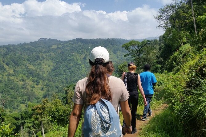 Materuni Thundering Waterfalls,Coffee Experience with Moshi Town Tour - Key Points
