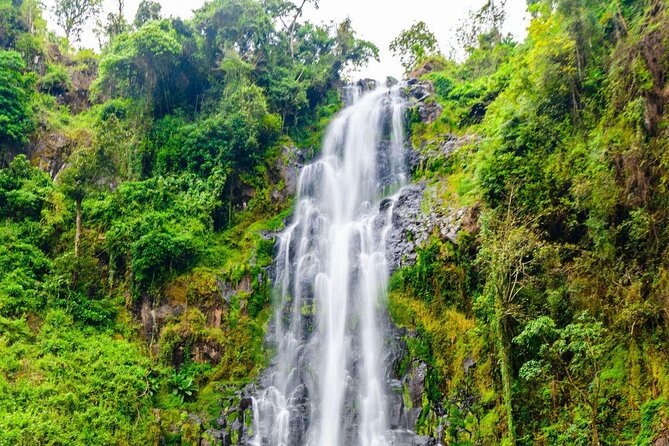 Materuni Waterfall and Coffee tour, Tanzania - Why Materuni makes a good Moshi day trip