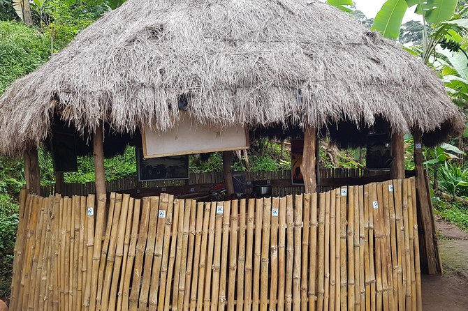Materuni Waterfall and Coffee tour, Tanzania - Banana beer and a traditional lunch