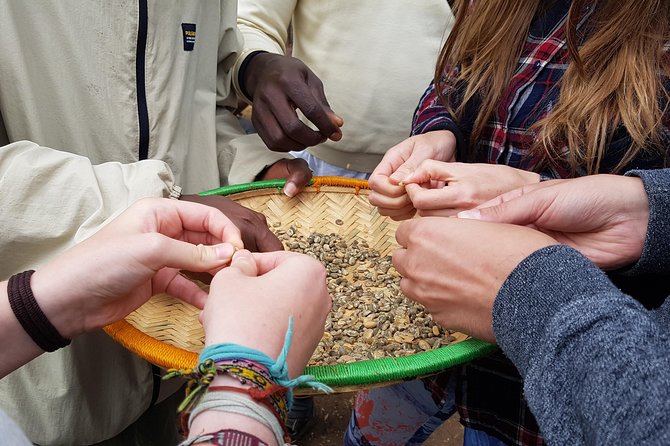 Materuni Waterfall and Coffee tour, Tanzania - Reaching Materuni Waterfall
