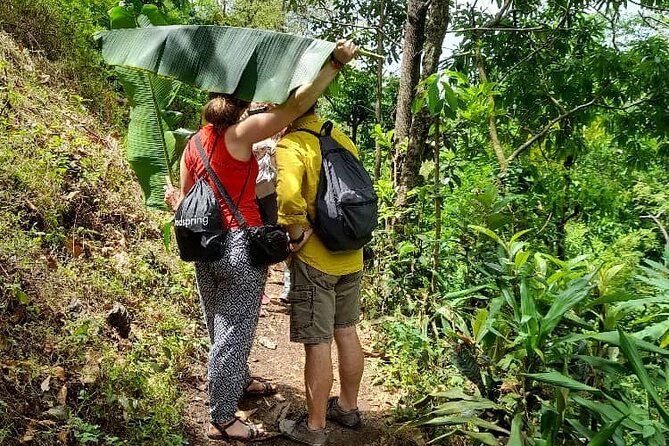 Materuni Waterfall and Kikuletwa Hot Spring Tour - A hot lunch with banana beer