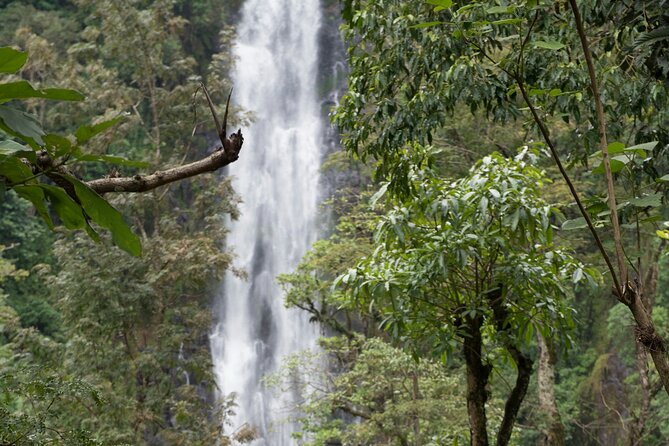 Materuni Waterfall and Kikuletwa Hot Spring Tour - Guides, drivers, and the value of private transport
