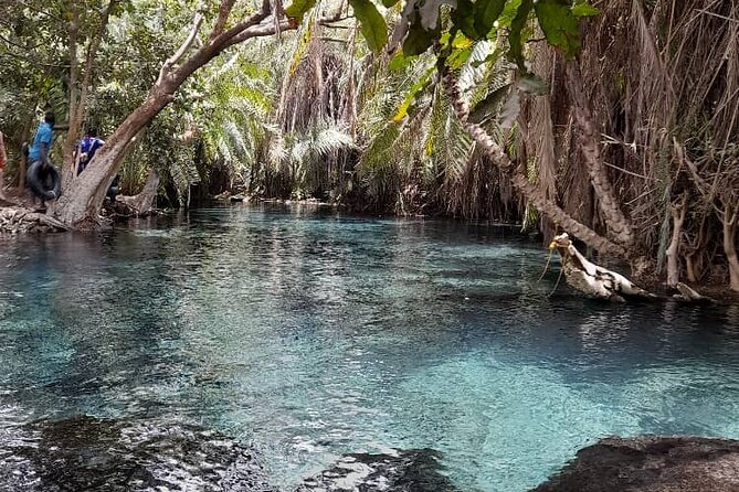 Materuni Waterfall and Kikuletwa Hot Spring Tour - Who will enjoy this day most?
