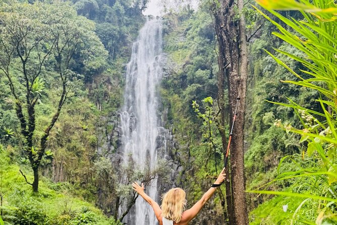 Materuni Waterfall Coffee Tour and Chemka Hot Springs Experience - Why this day works so well near Kilimanjaro