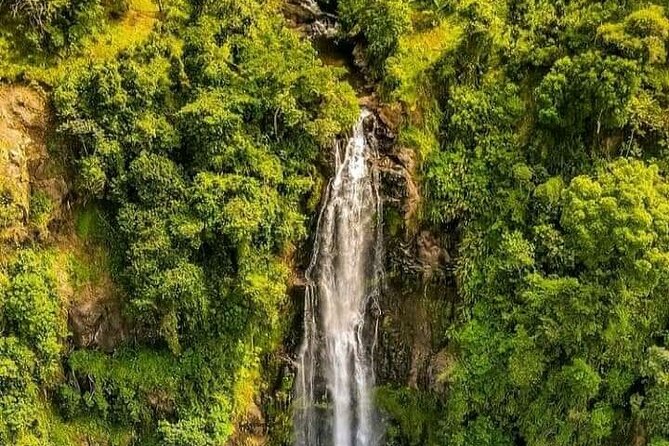 Materuni Waterfall Coffee Tour and Chemka Hot Springs Experience - Materuni Waterfall, mist, rock, and cold water