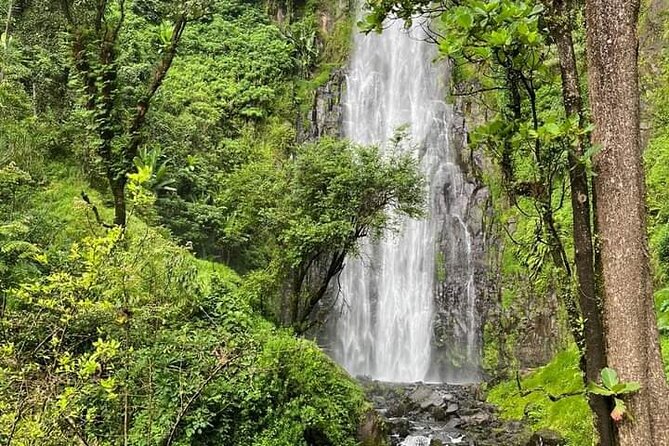 Materuni waterfall , coffee tour and hotsprings (chemka ) - Key points to know before booking