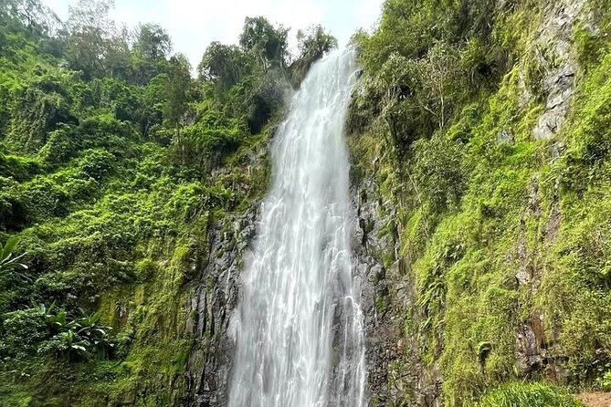 Materuni waterfall , coffee tour and hotsprings (chemka ) - What this $40 Moshi day is really like