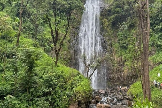 Materuni waterfall , coffee tour and hotsprings (chemka ) - Guides, language, and the private format