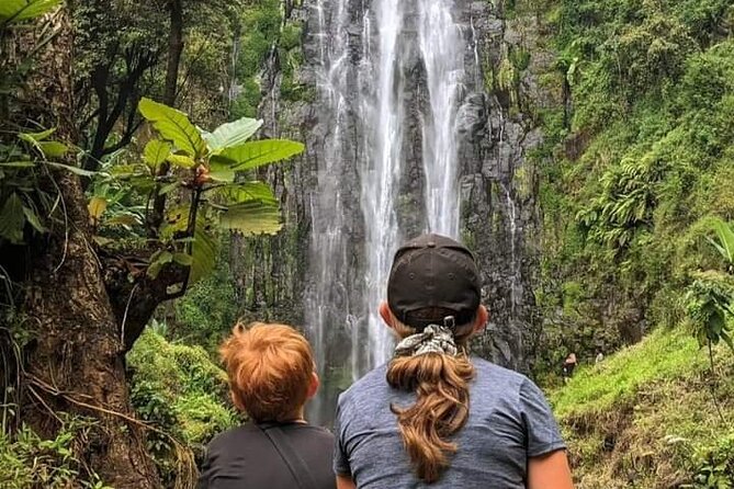 Materuni waterfall , coffee tour and hotsprings (chemka ) - The morning drive to Materuni Village