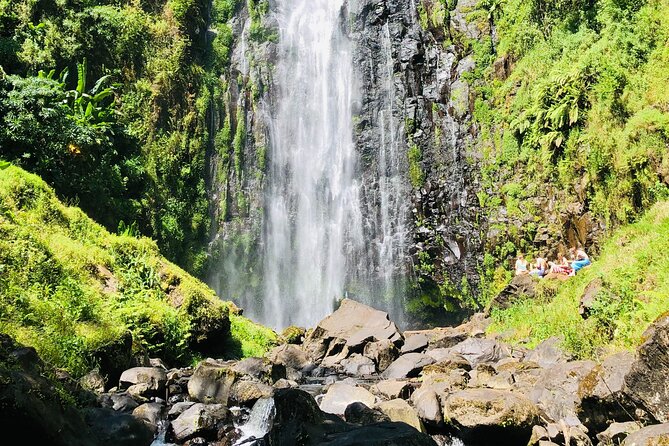 Materuni Waterfall, Coffee Tour and Picnic Hot Lunch - Walking through coffee and banana farms