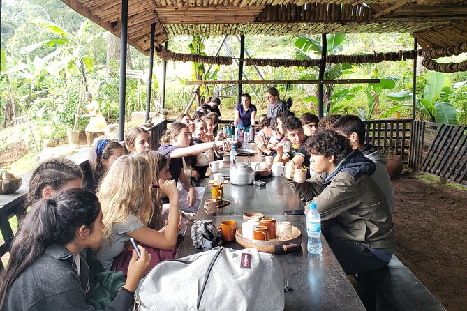 Materuni Waterfall, Coffee Tour and Picnic Hot Lunch - Coffee made the Chagga way