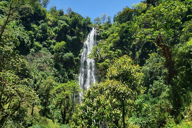 Materuni Waterfall, Coffee Tour and Picnic Hot Lunch - Materuni Waterfall and the cold swimming pool
