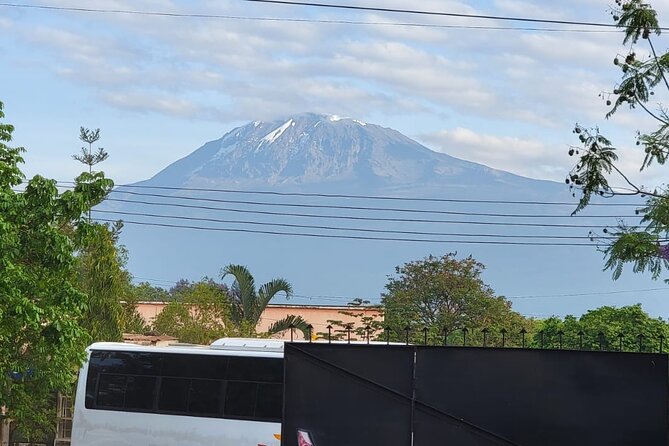 Materuni waterfall - coffee tour OR Chemka hot spring Tour - Two northern Tanzania sights in one day
