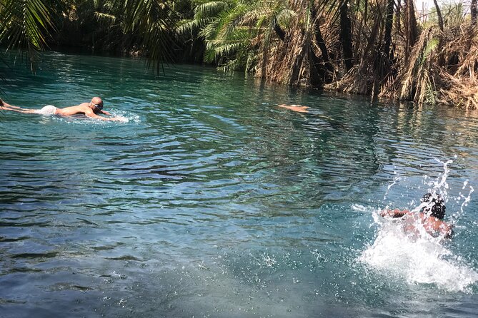 Materuni waterfall - coffee tour OR Chemka hot spring Tour - A slower afternoon at Chemka Hot Spring