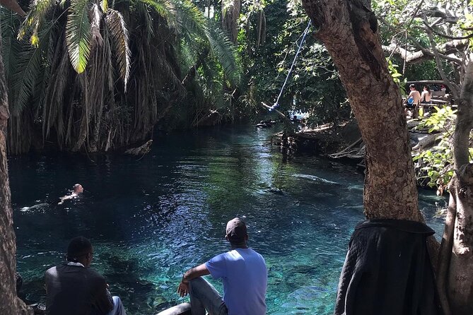 Materuni waterfall - coffee tour OR Chemka hot spring Tour - What the private format really adds