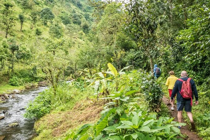 Materuni Waterfall Hike & Coffee Tour - Turning coffee production into a hands-on lesson