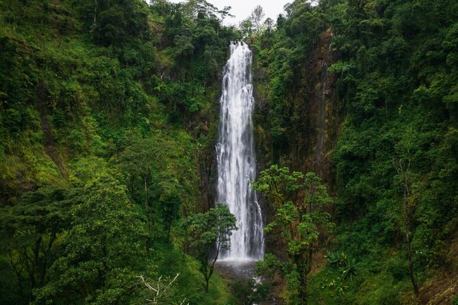 Materuni Waterfall Hike & Coffee Tour - How the guides shape the day
