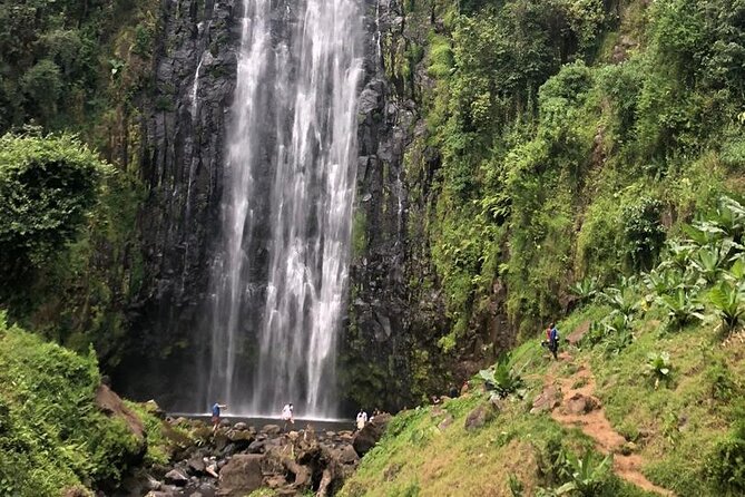 Materuni Waterfall Hike & Coffee Tour - Booking details worth confirming