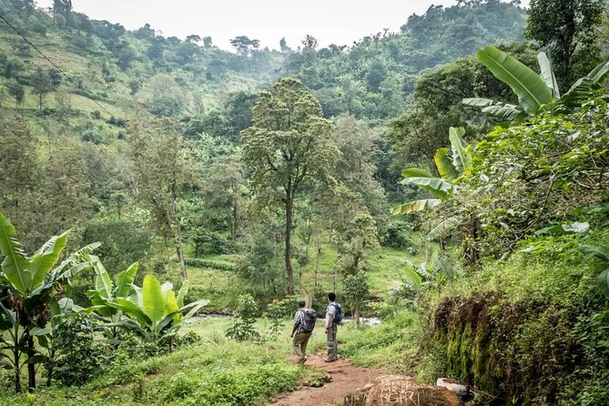 Materuni Waterfall Hike & Coffee Tour - Materuni Falls and the option to swim