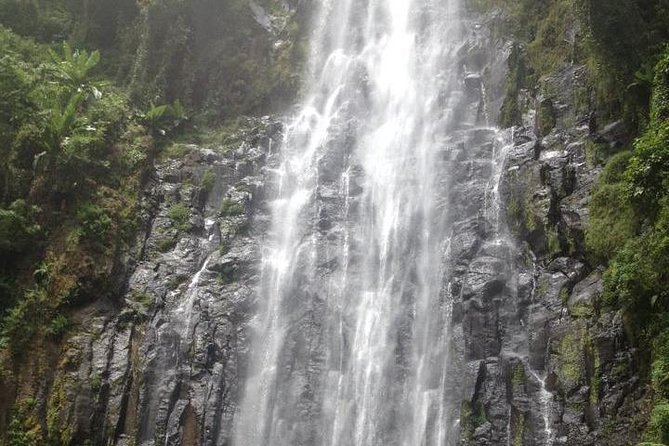 Materuni waterfalls and coffee Tour - Coffee, Chagga culture, and a waterfall in one morning