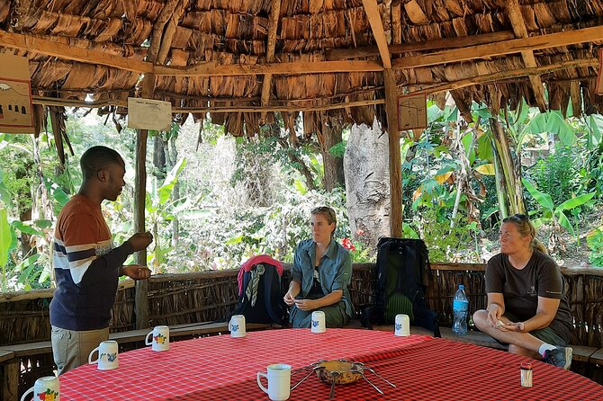 Materuni waterfalls and coffee Tour - The walk to Materuni Waterfalls
