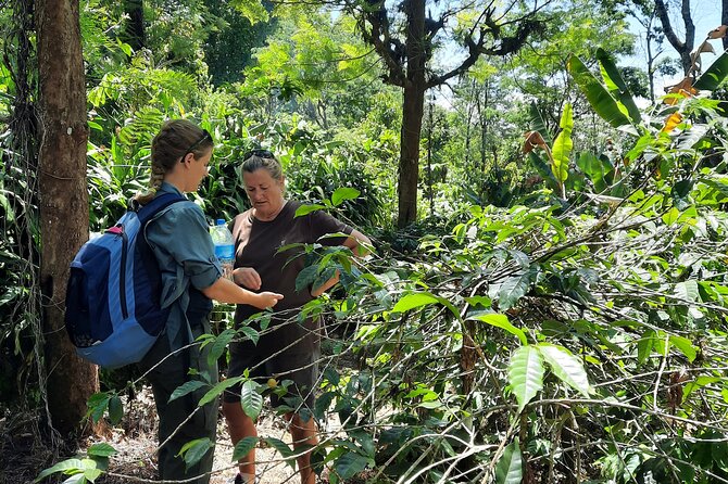 Materuni waterfalls and coffee Tour - Private transport and the five-hour schedule