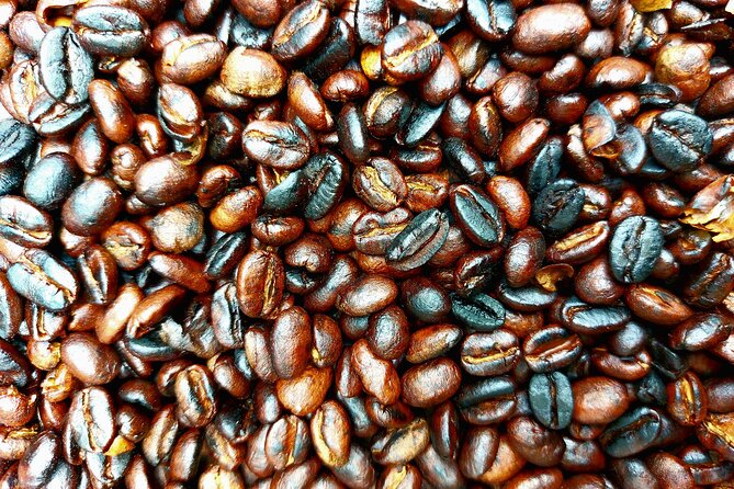 Materuni Waterfalls and Coffee Tour in Moshi - Learning coffee from berry to cup